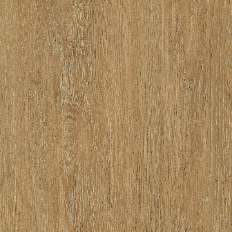 Möbelfolie BLEACHED BRONZE OAK NF43