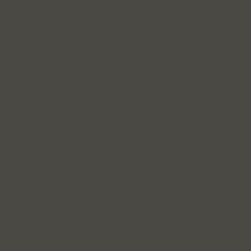 Möbelfolie FOSSIL GREY NE82