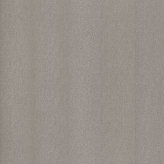 Möbelfolie CHAMPAGNE SILVER NE51