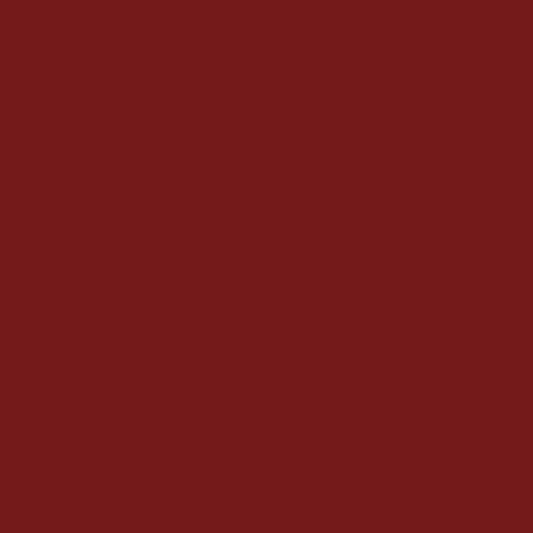 Möbelfolie CHILLI RED L2