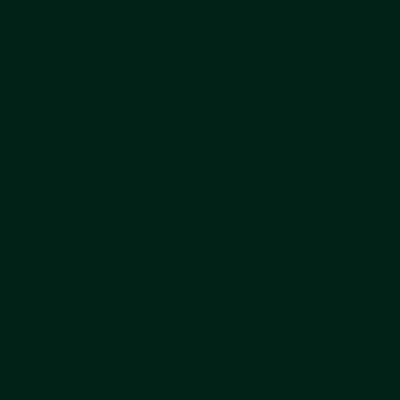 Möbelfolie DEEP GREEN NF13