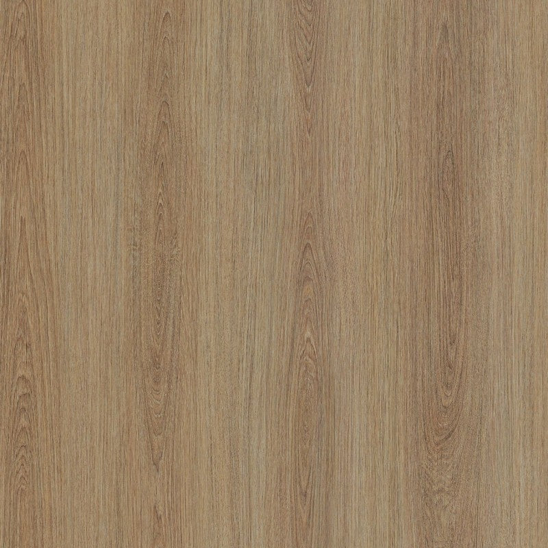 Möbelfolie HARD OAK NF66