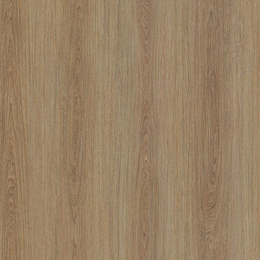 Möbelfolie HARD OAK NF66