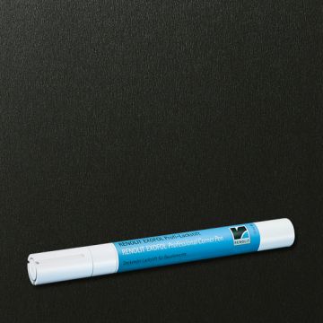Lackstift Earl Platin - für Fensterrahmen